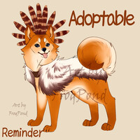 Adopt Dog (Reminder)
