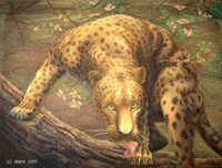 Leopard sees his prey