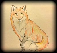 Fox for a friend