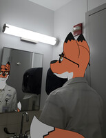 Fox At Work