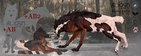 Wolf Auction [CLOSED]