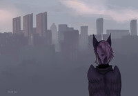 City