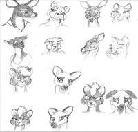 Expressions practice