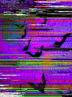 bats