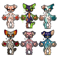 [Adopts] $35 Sphynx Cats