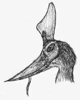 Pteranodon S.