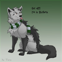 Slytherin Terry