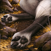 Wolfgang Paws