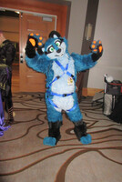 FC20 #240: Pica (Rio Sky-1st pic on FA!)