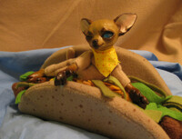 Taquito 5
