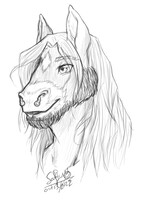 Commission for Nacht