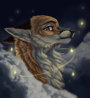 Stars