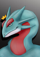 Salamence | Pokemon | Commission