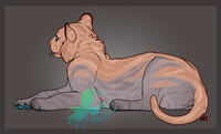 Pumpkin Tiger | Adopt | CLOSED