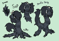 [ADOPTABLE] [SOLD] Sop (2021)