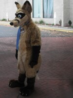 Fender At Furfright 2010 #3