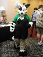 Dalmatian chef At Furfright 2010
