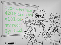 Reed's Report