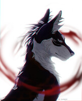 Hotaru