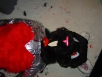 head wip