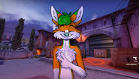 CSGO Furry