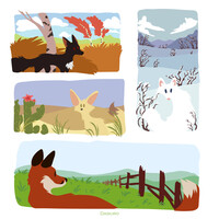 Foxes!