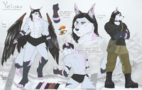 Yelisav's reference sheet