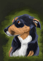 Duke -Christmas Gift-