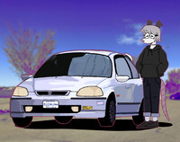 A possum and her civic