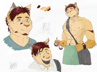 Poll sketches