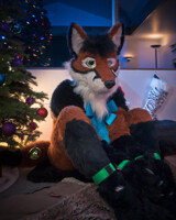 Under the Tree