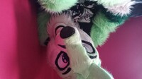 What are you looking at, cutie?~ care to join this foxxo?...