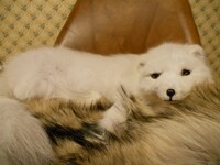 Snuggly Glacier