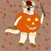 Dakine Spooky Pumpkin YCH