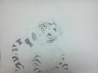 Tigress cub sitting on a rock :3