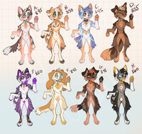 Adoptables!