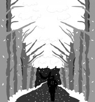 Through The Night's Eyes