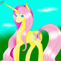 Unicorn Fluttershy