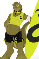 for nikaro (coloured)