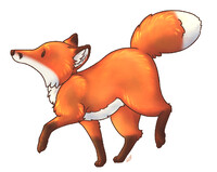Fox Trot