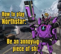 Northstar The Meme queen