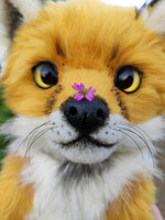 Little Fox & Tiny Flower