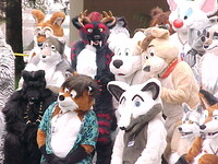 Further Confusion DoubleTree