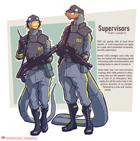 Player's Guidebook - Supervisors