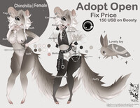 Adopt Open