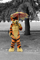 My Neighbour Thetoro