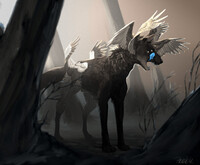 Umbra