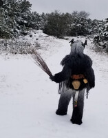 that time it snowed in Texas