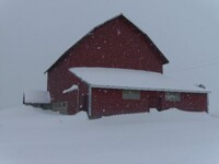 I also love farms.