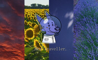 Traveller